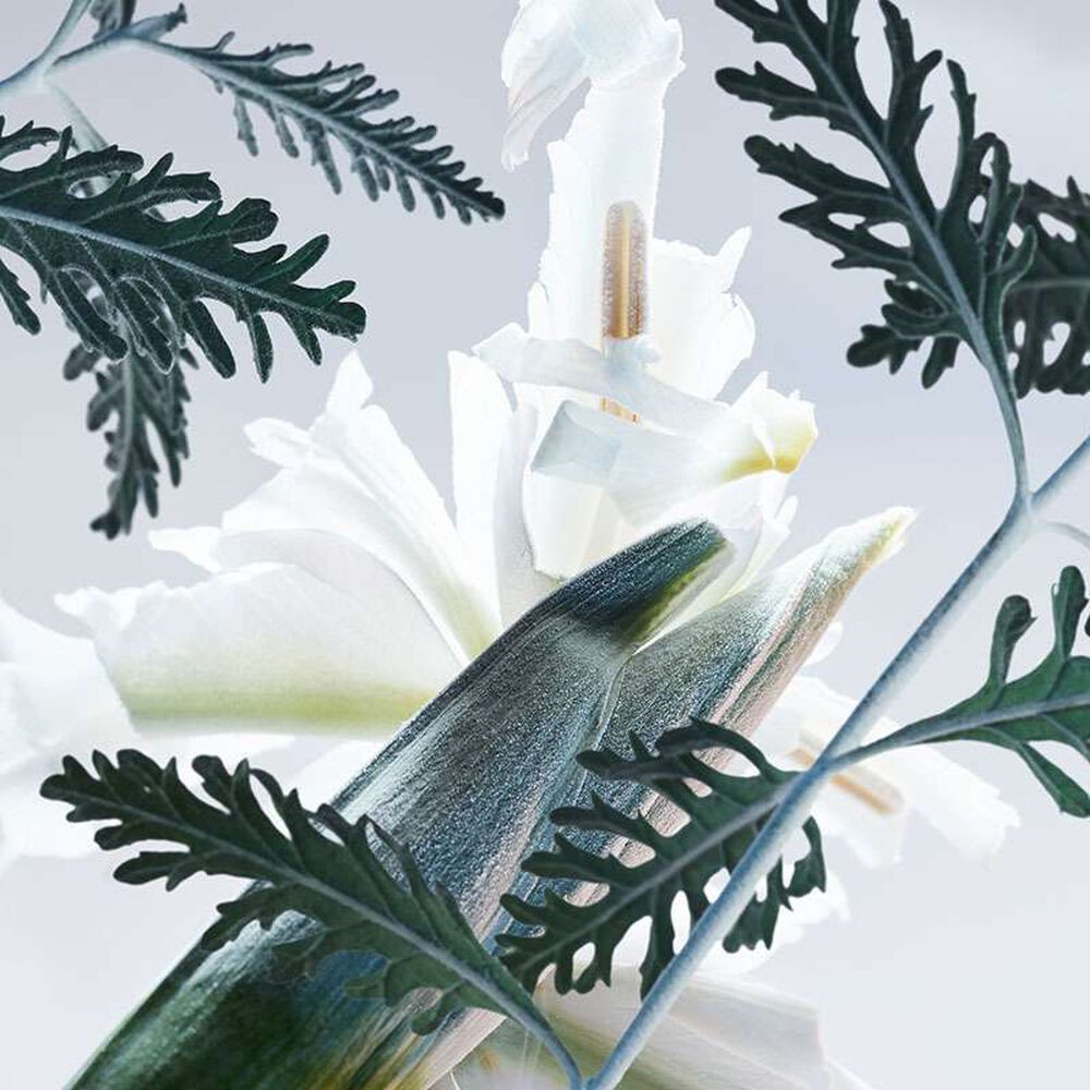 Bvlgari Man Glacial Essence Eau de Parfum 60ml