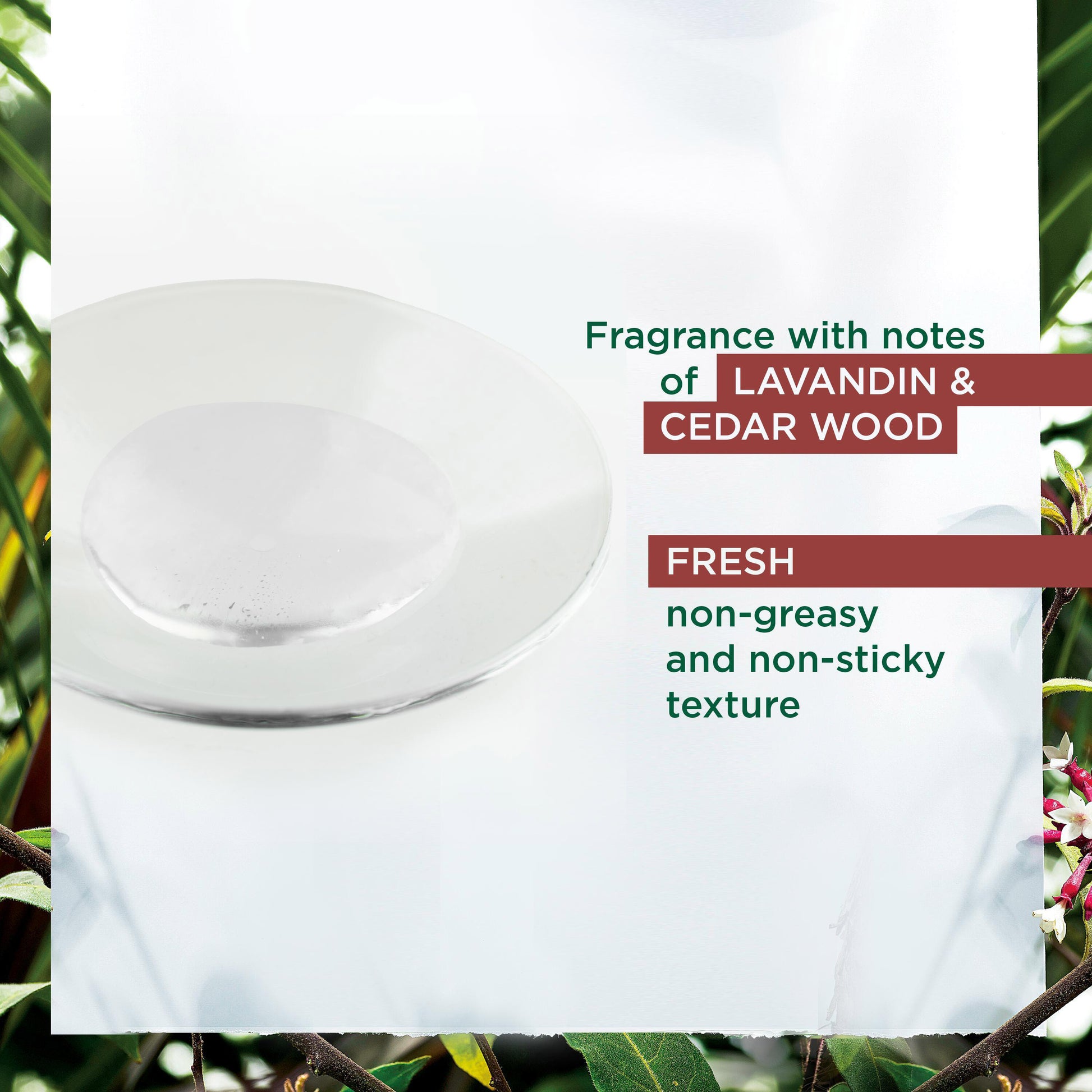 Klorane Hair Strengthening Serum with Quinine and Organic Edelweiss for Hair Loss 100ml