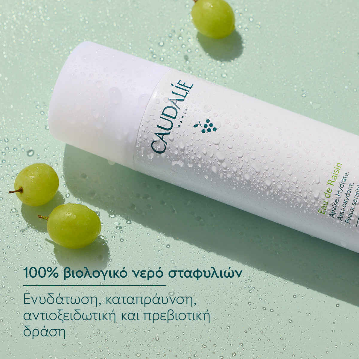 Caudalie Grape Water 75ml