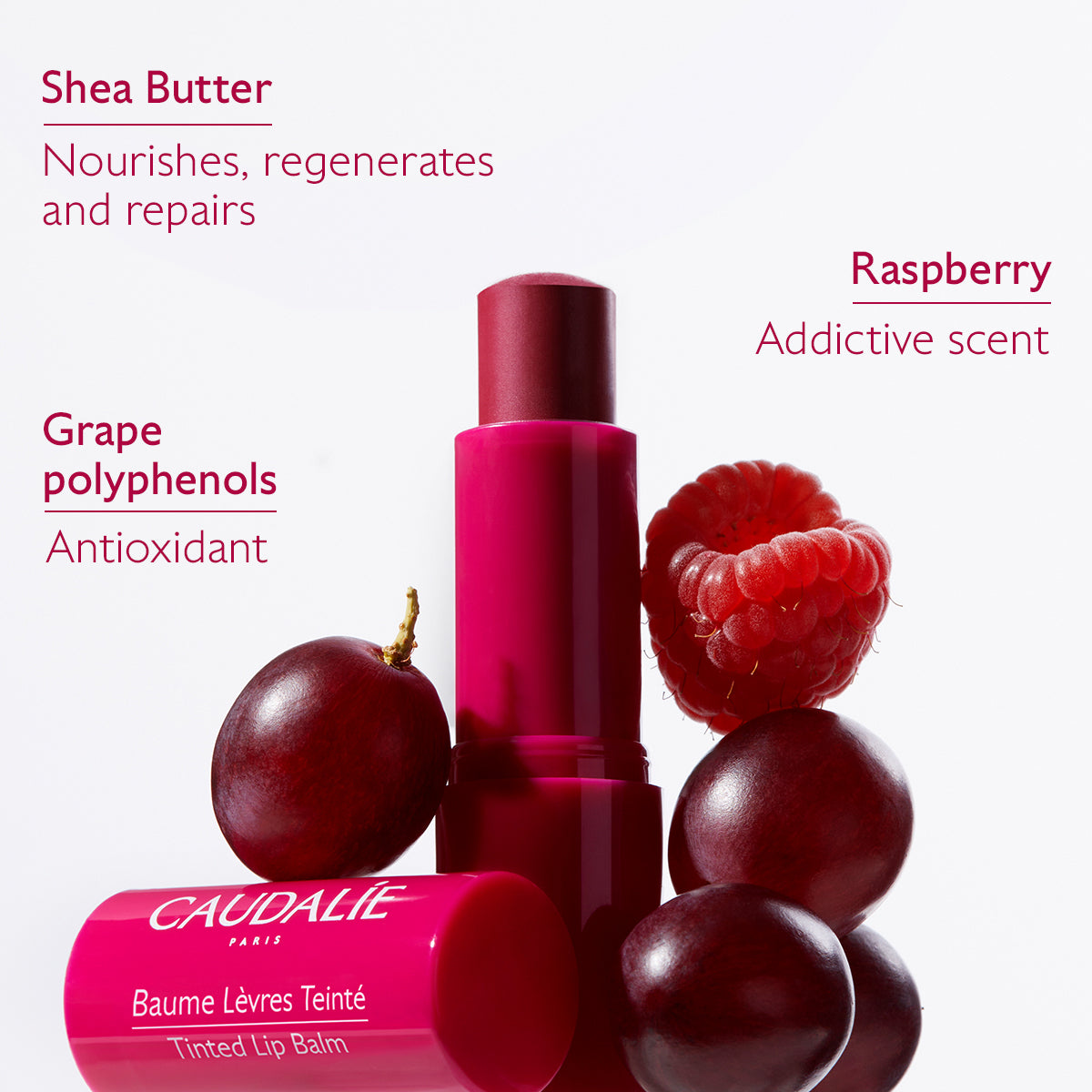 Caudalie Tinted Lip Balm 4.5g