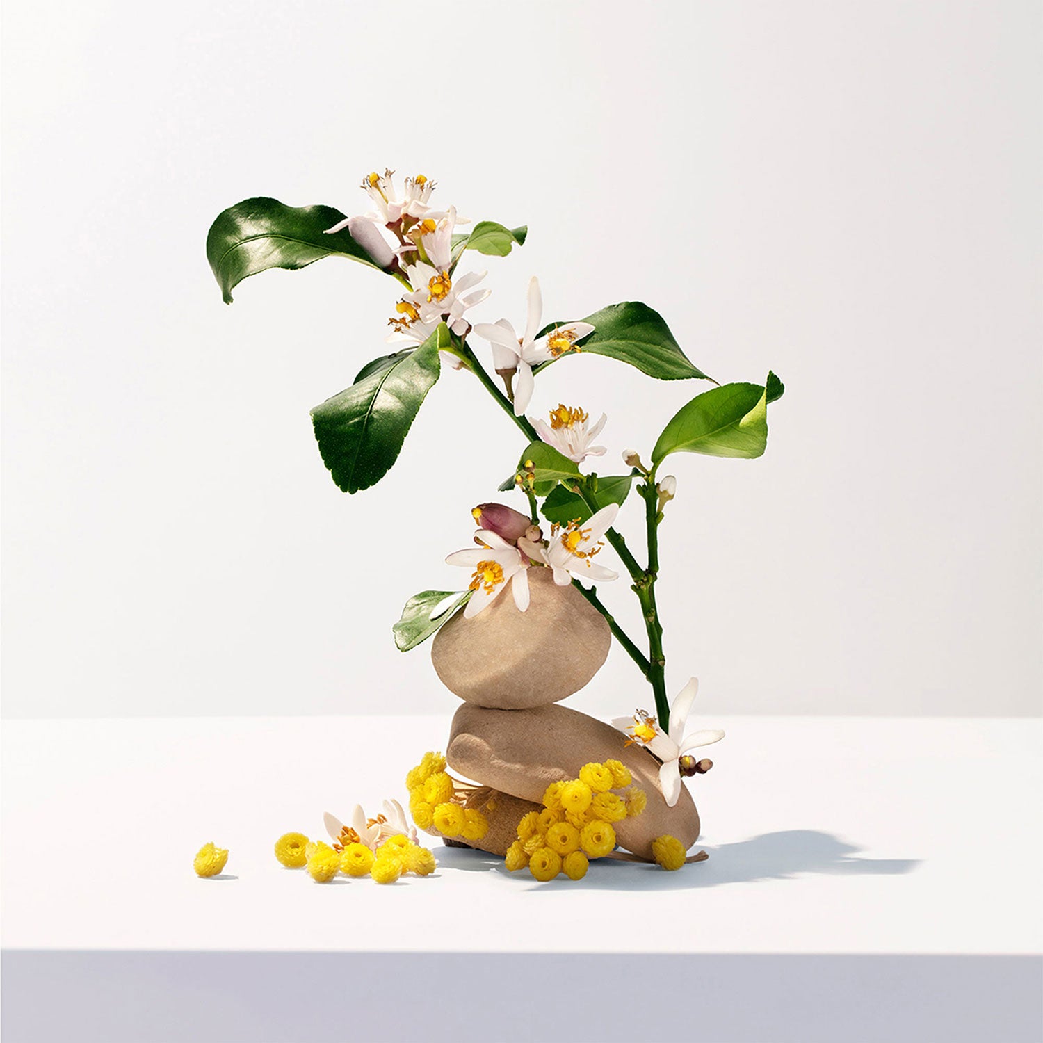 Roger & Gallet Néroli Fragrant Water 100ml