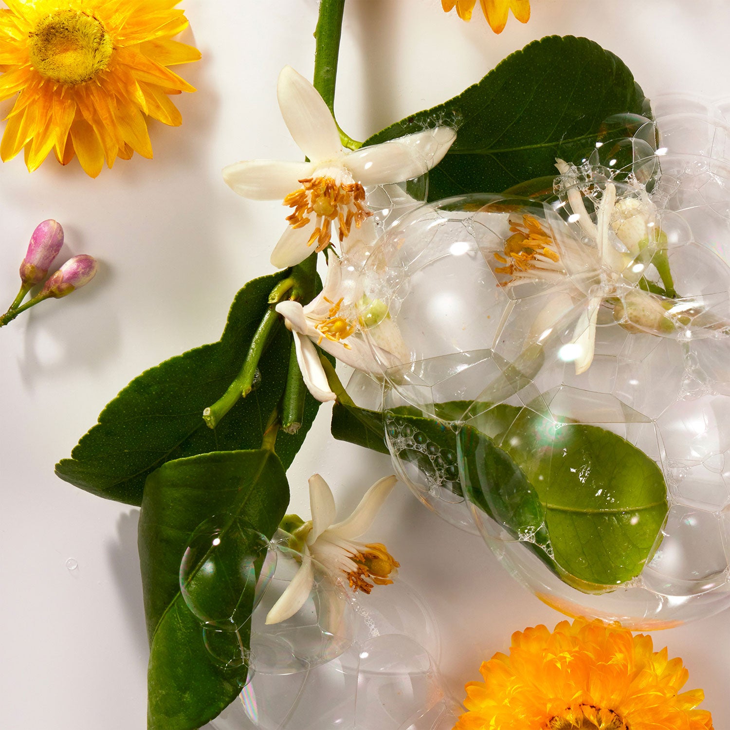 Roger & Gallet Néroli Soap 100g