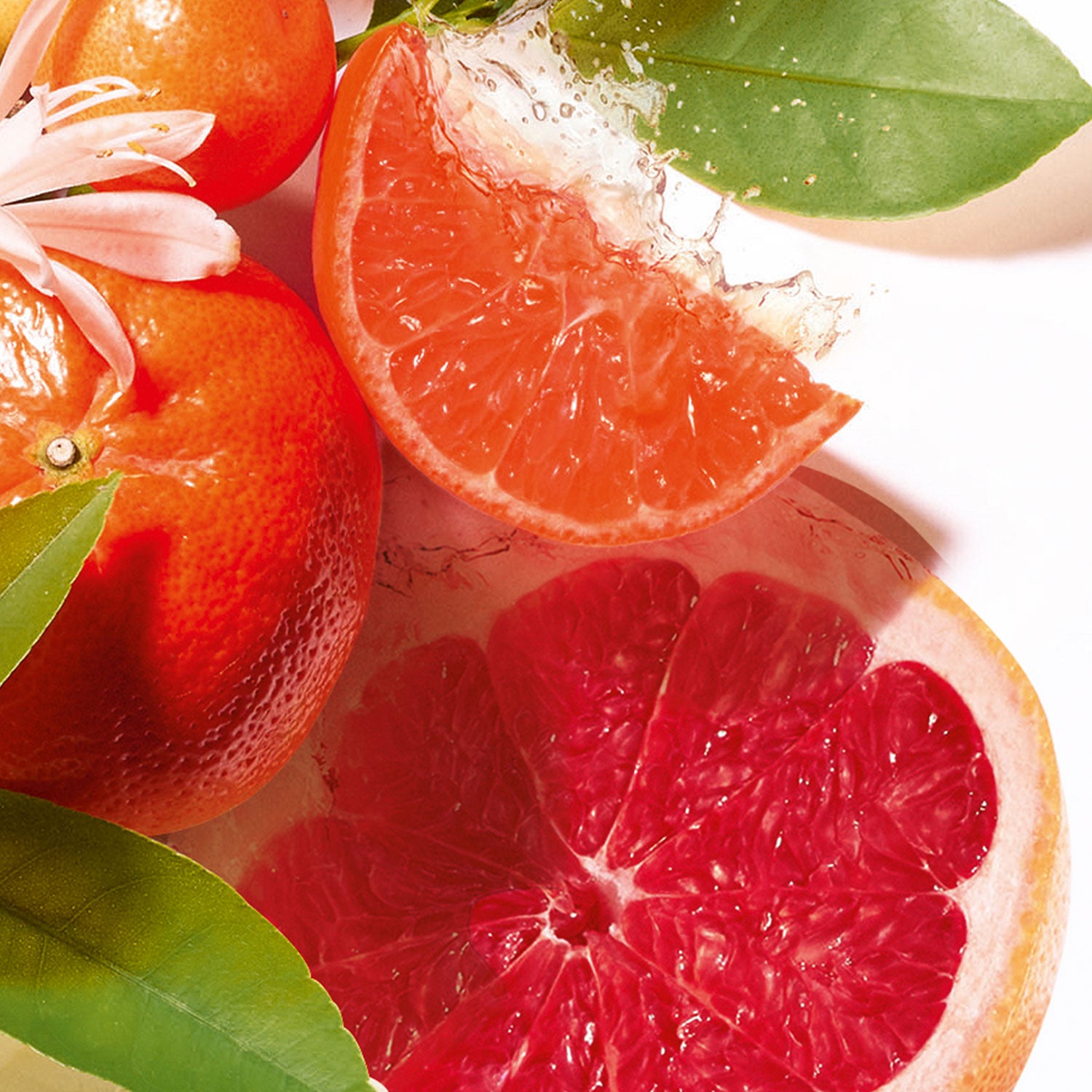 Roger & Gallet Jean-Marie Farina Soap 100g