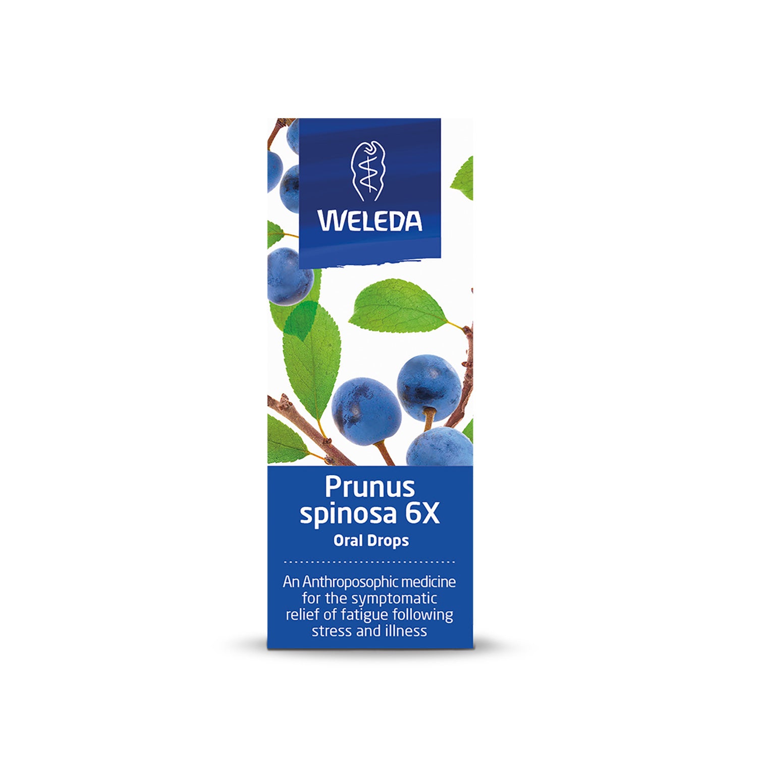 Weleda Prunus Spinosa 6X Drops