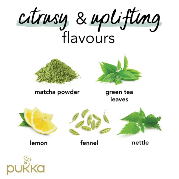 Pukka Organic Clean Matcha Green Tea