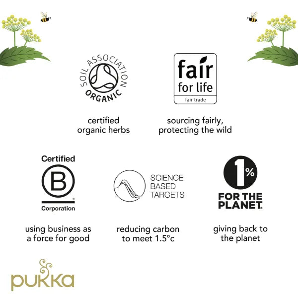 Pukka Organic Radiance Tea