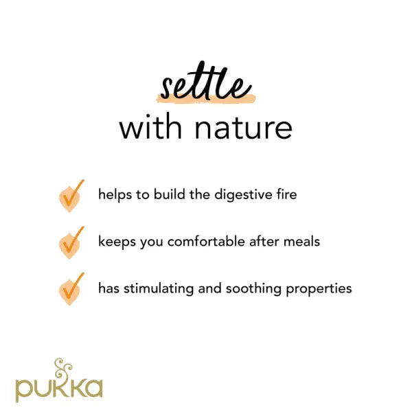 Pukka Organic Three Ginger Tea Bags