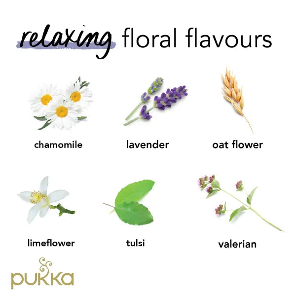 Pukka Organic Night Time Tea Bags