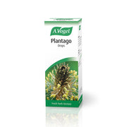 A.Vogel Plantago