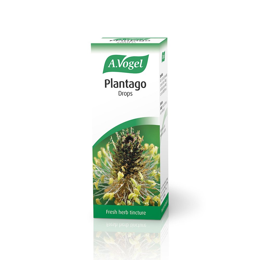 A.Vogel Plantago