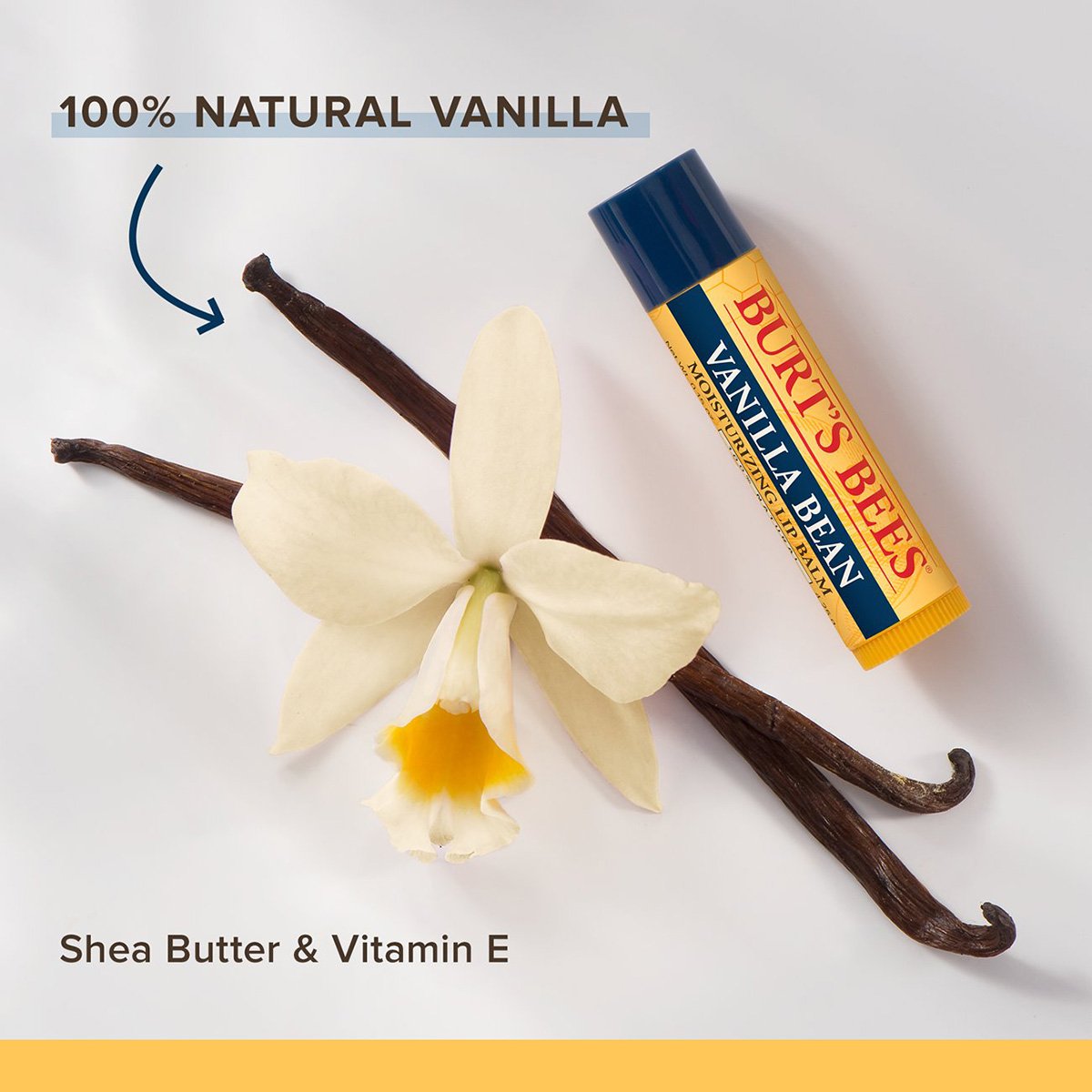 Burt's Bees Lip Balm Vanilla Bean 4.25g