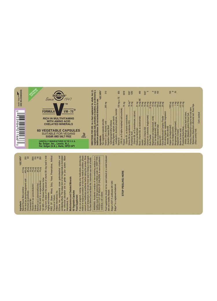 Solgar Formula VM-75(TM) Vegetarian Capsules